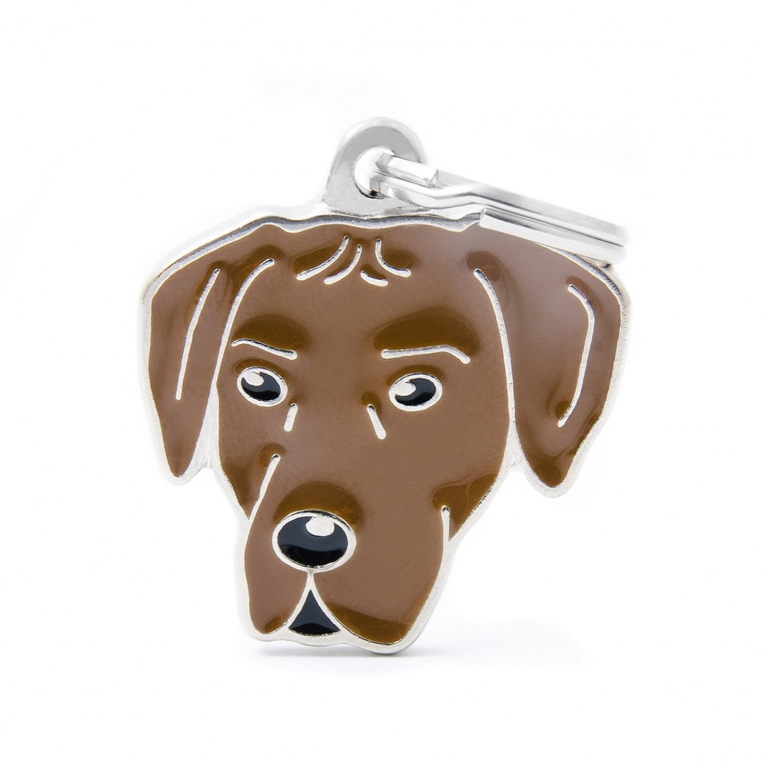 Plaquita friends rhodesian ridgeback   