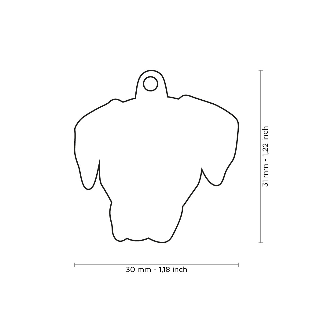 Plaquita friends rhodesian ridgeback