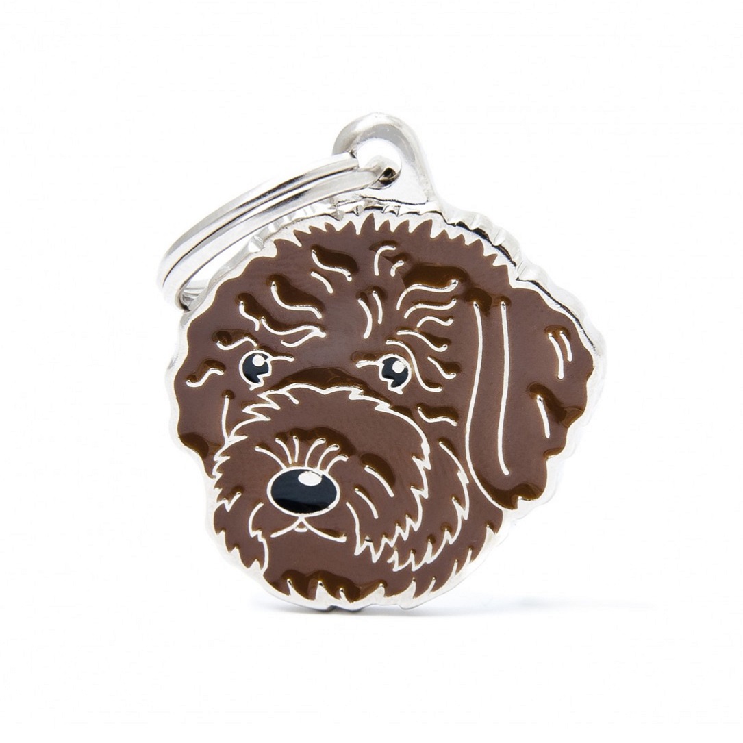 Plaquita friends brown romagna water dog   