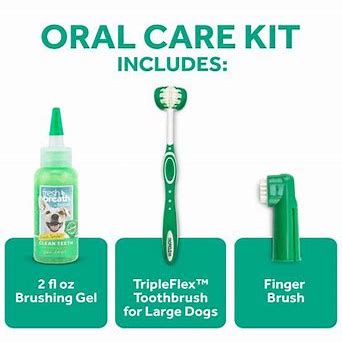 Tropiclean fresh breath oral care kit for large dogs