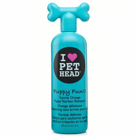 Shampoo puppy fun