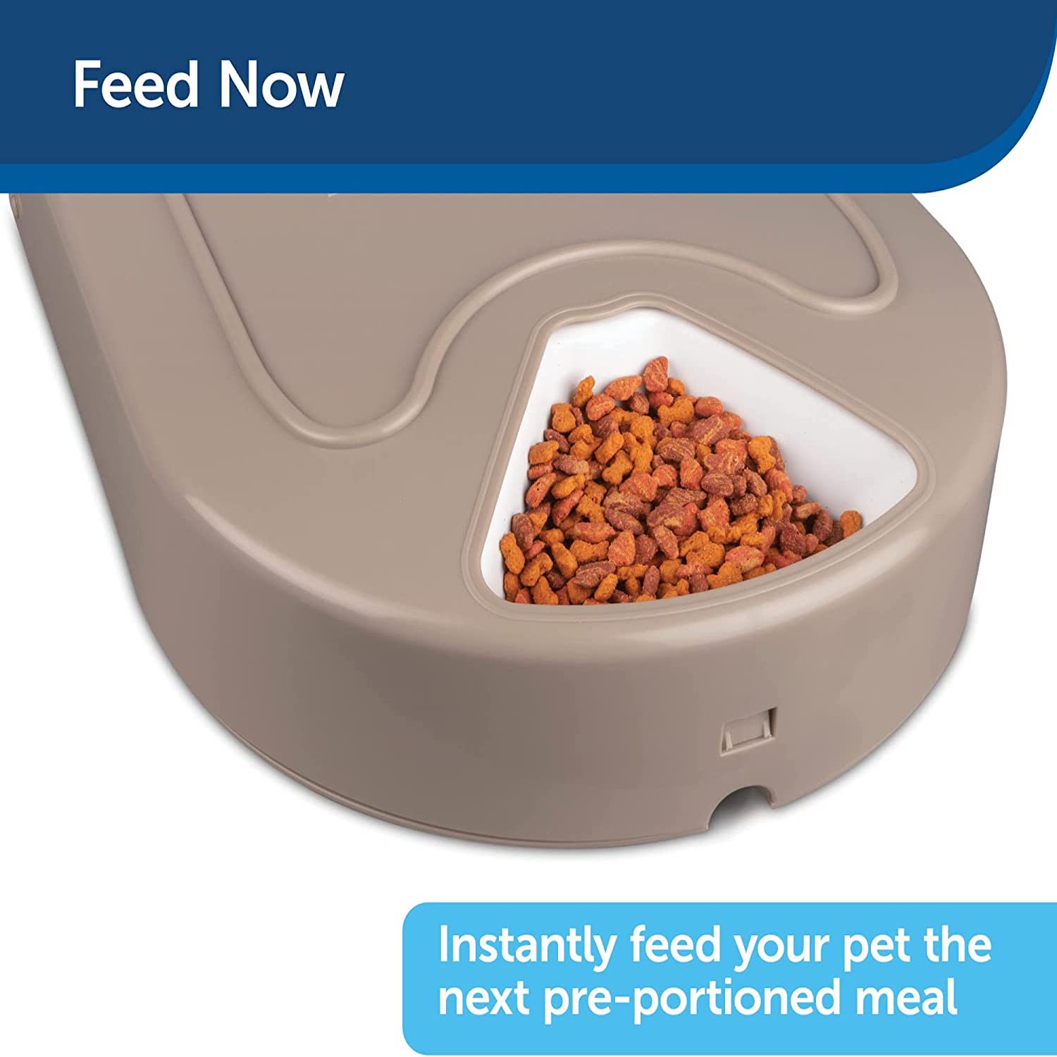 Petsafe alimentador automático 5 comidas