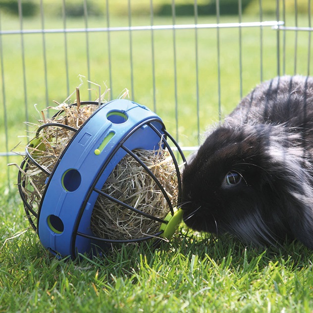 Bunny toy hay & snack