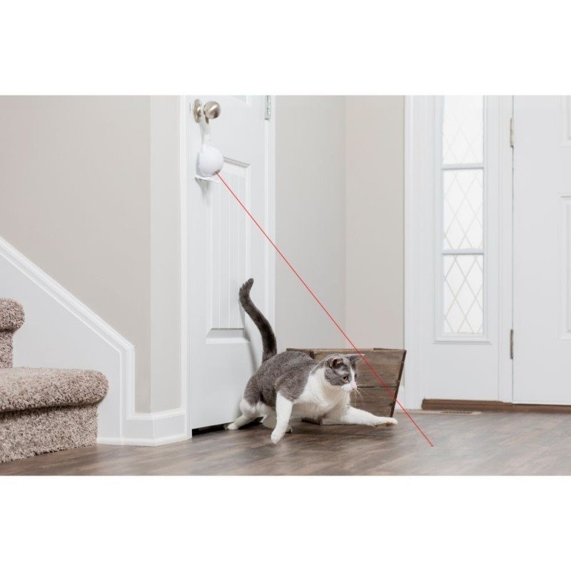 Dancing dot laser cat toy