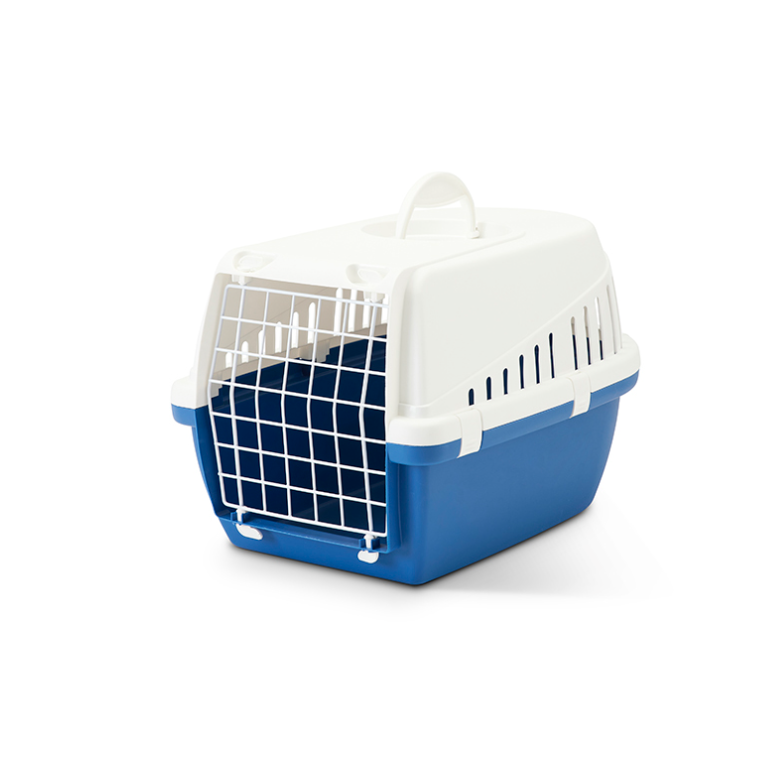 Transportadora trotter 1 