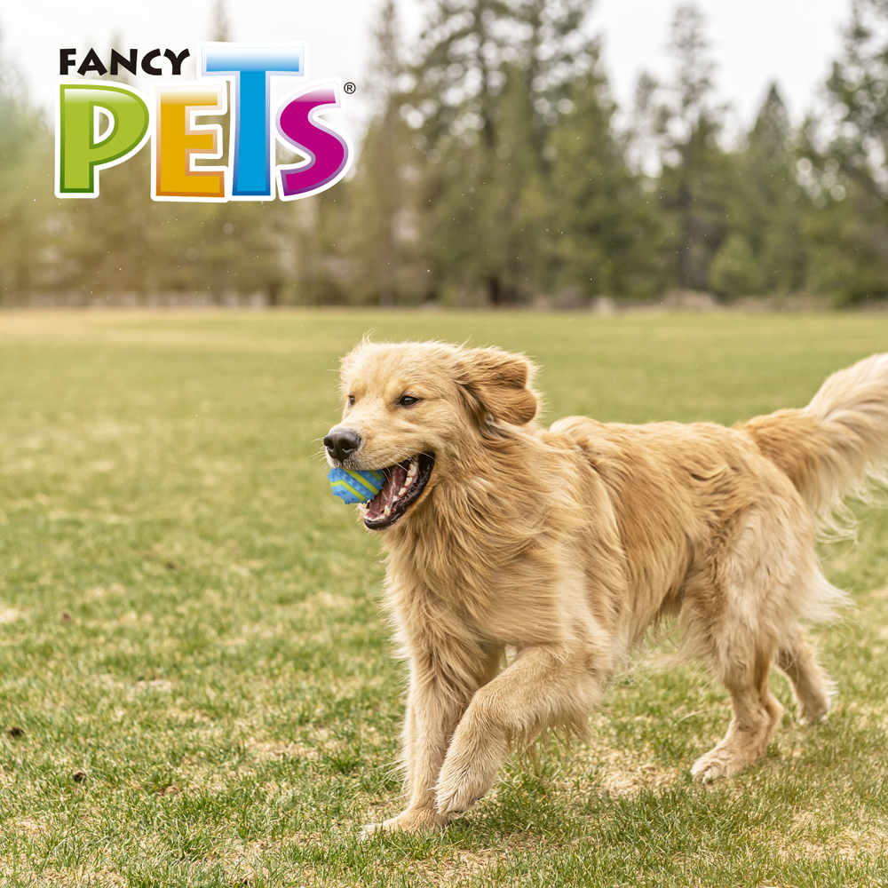 Pelota spiky fetch
