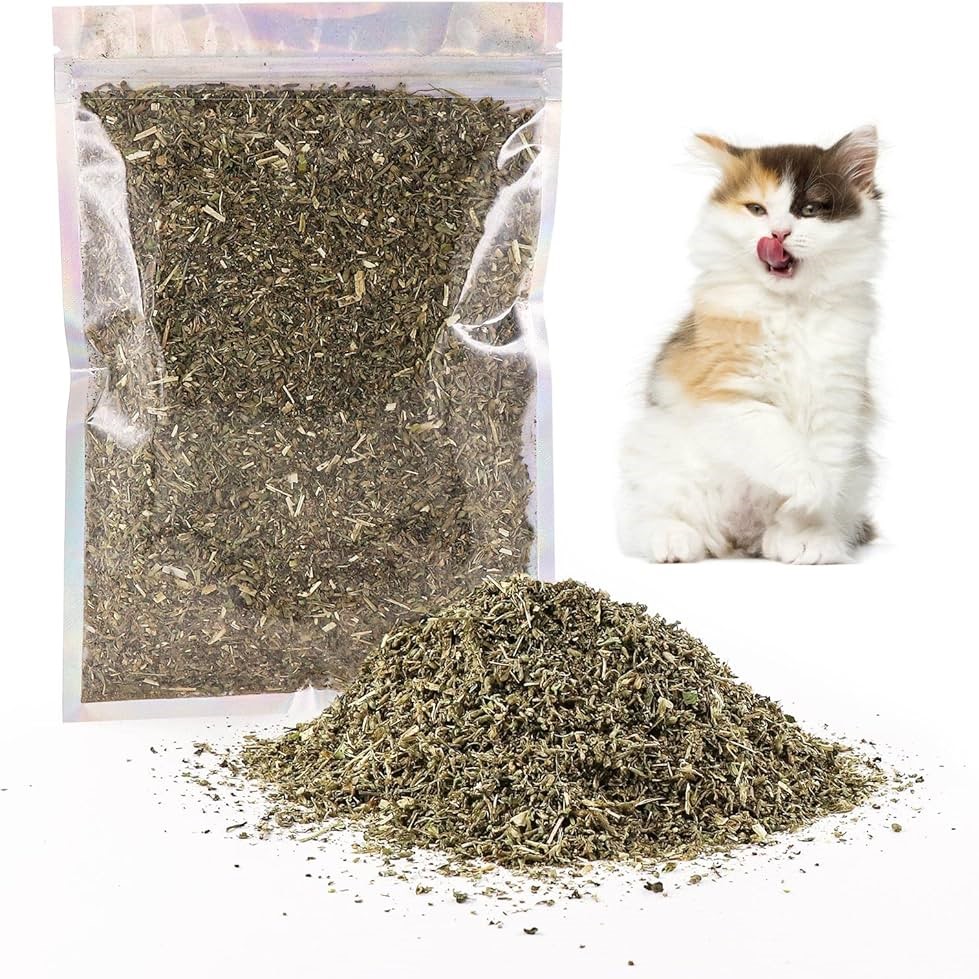 CATNIP PARA GATO