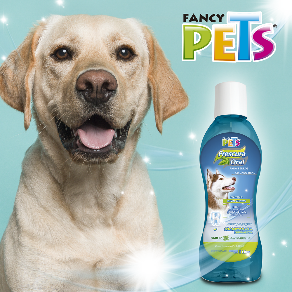 Pasta y Cepillo Dental para Perro Fancy Pets Sabor Hierbabuena 90 g