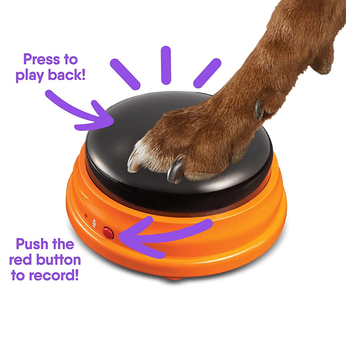Juego de botones de mascotas parlantes