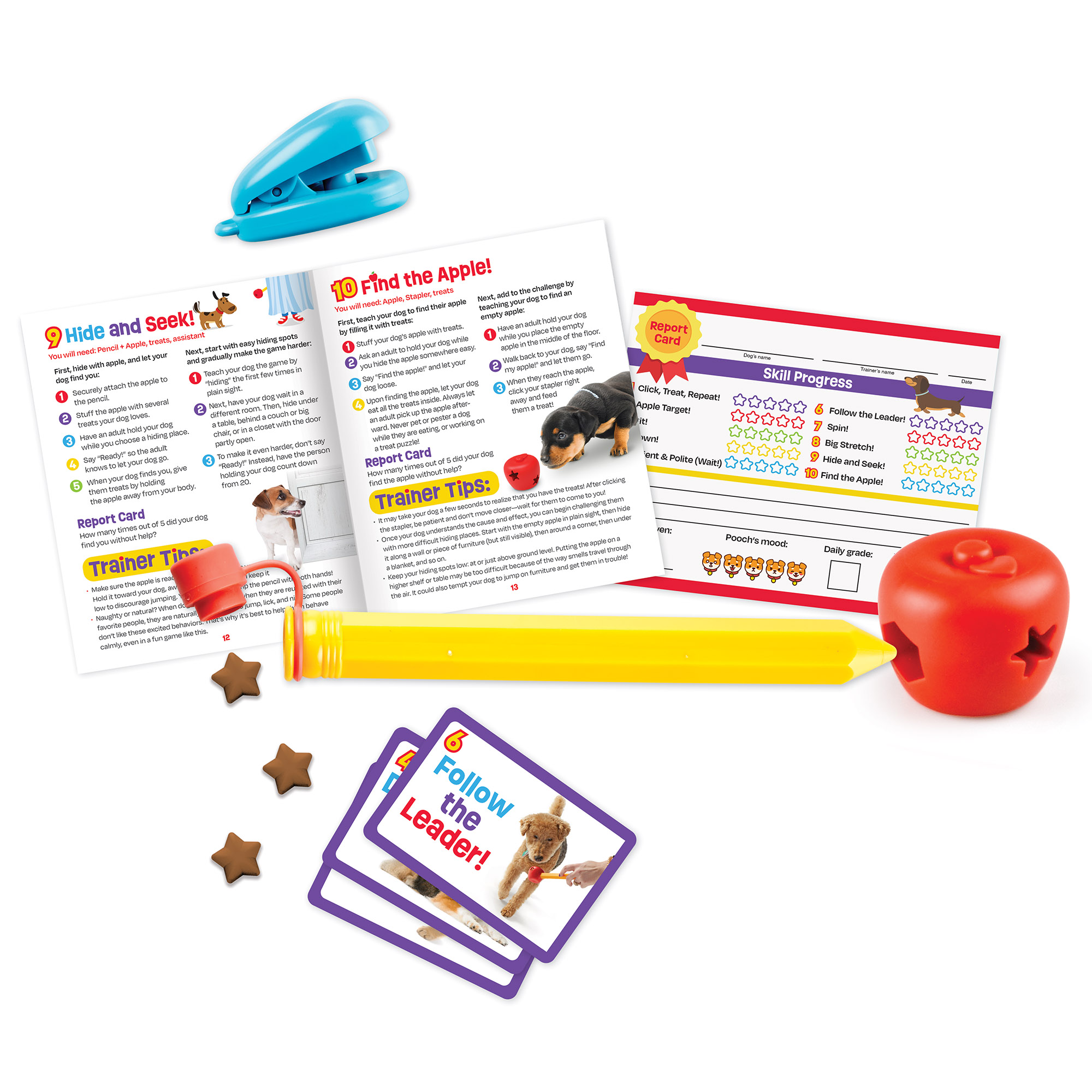 Escuela pooch set de entrenamiento