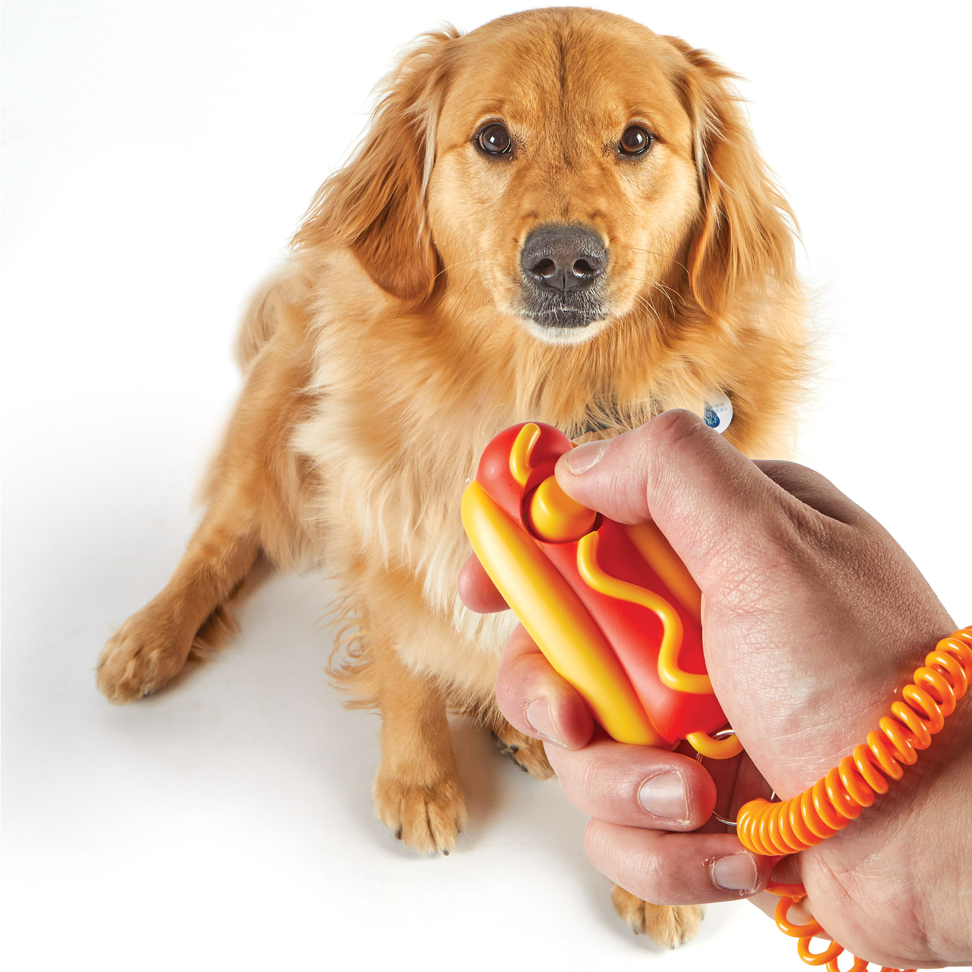Clicker de entrenamiento smarty pooch