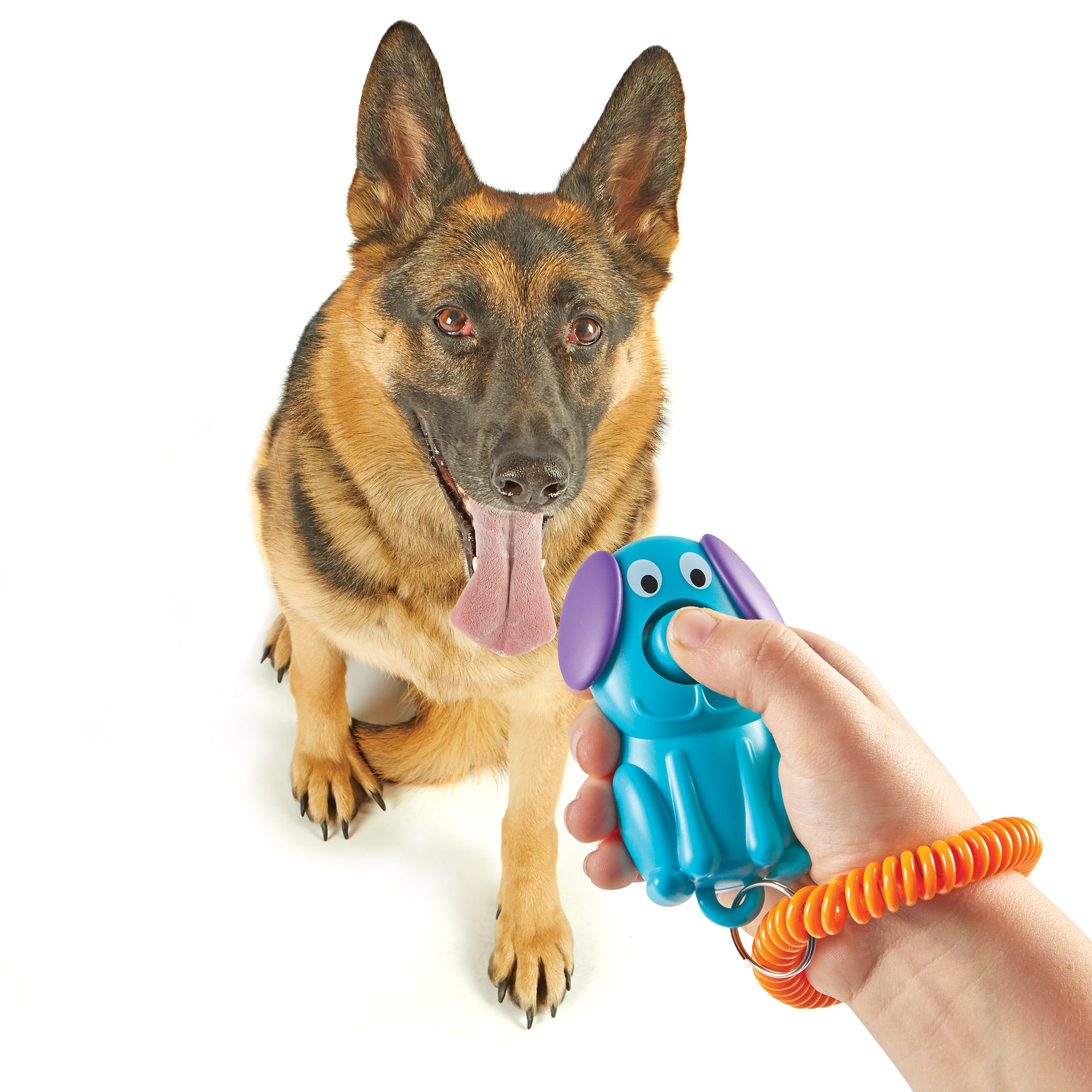 Clicker de entrenamiento smarty pooch