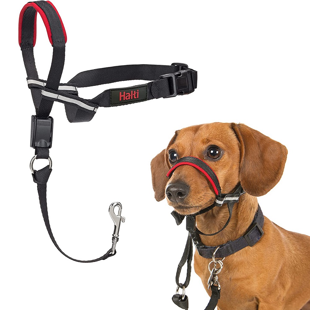 Halti bozal optifit chico 