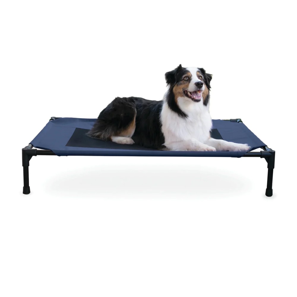 Cama elevada para perro