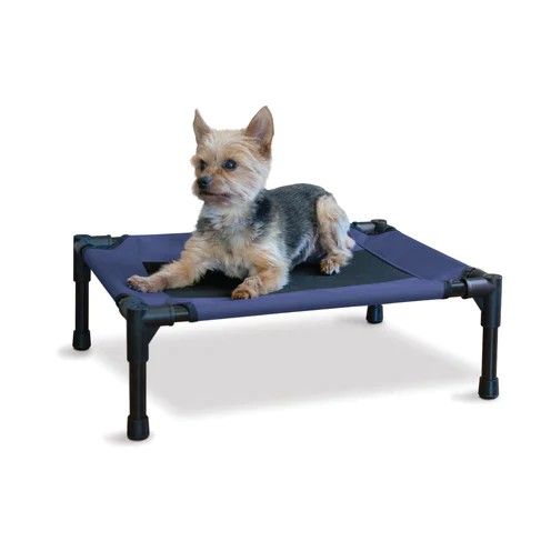 Cama elevada para perro
