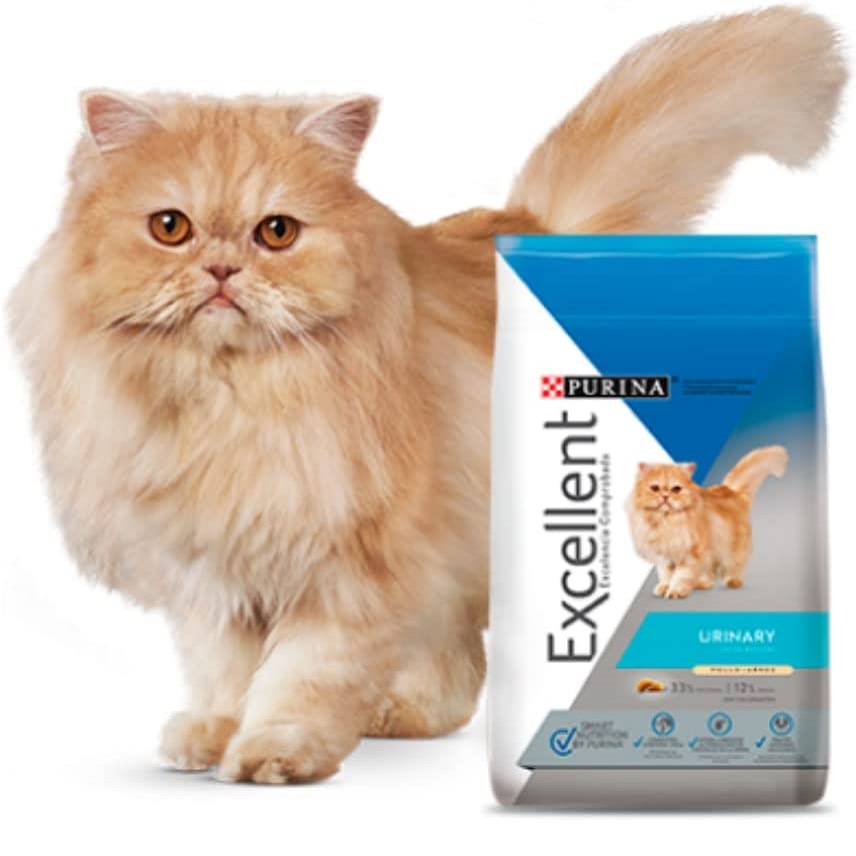 Gato adulto excellent urinary