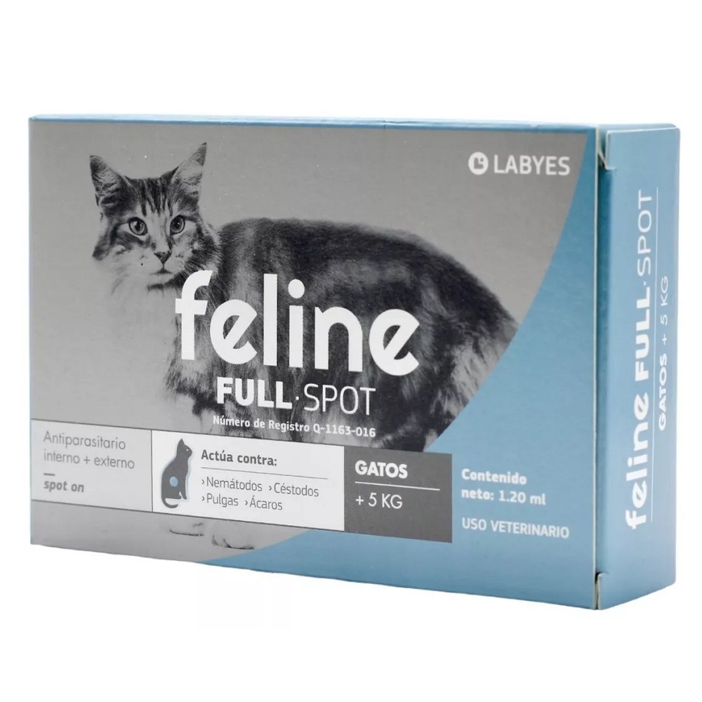 Feline full spot 