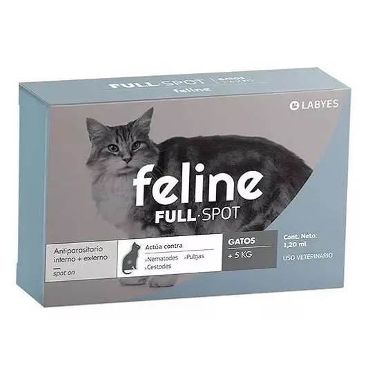 Feline full spot