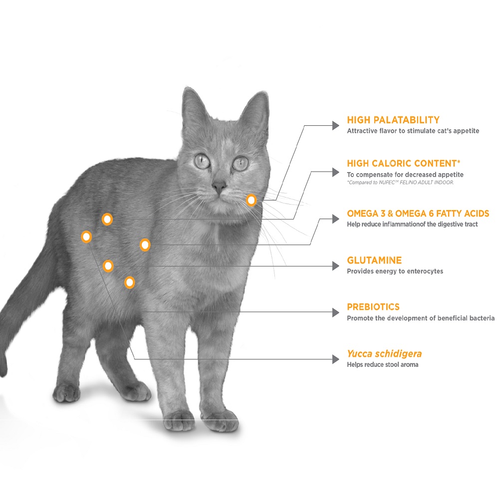 Nupec felino digestive health