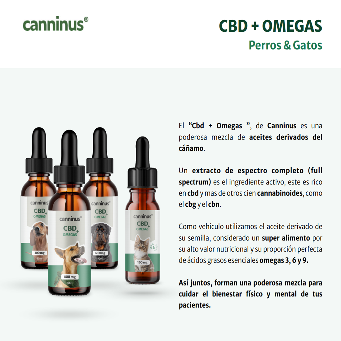 Suplemento cbd para mascotas