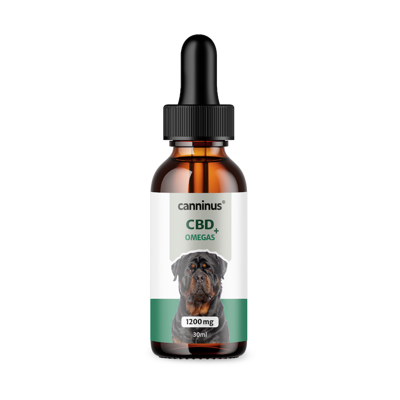 Suplemento cbd para mascotas
