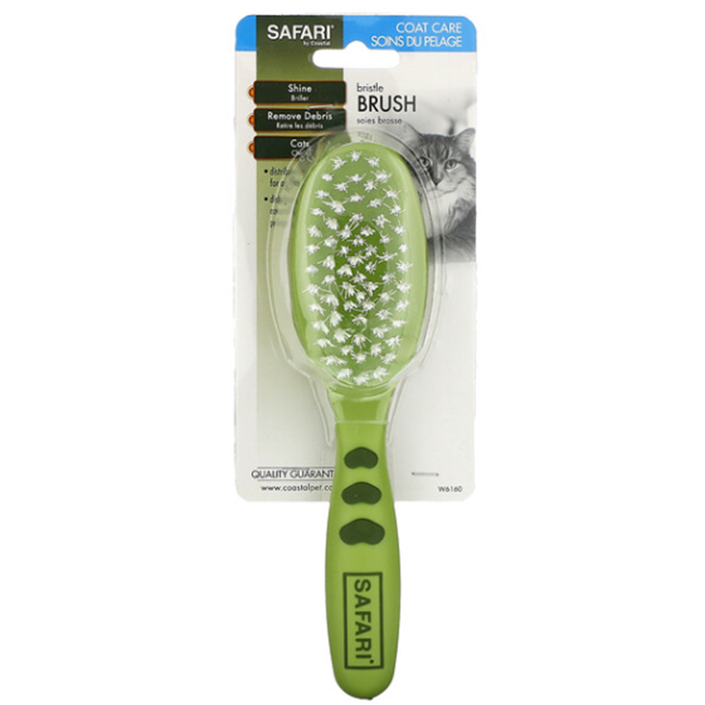 Safari by coastal cat bristle brush with plastic handle 1 Pza