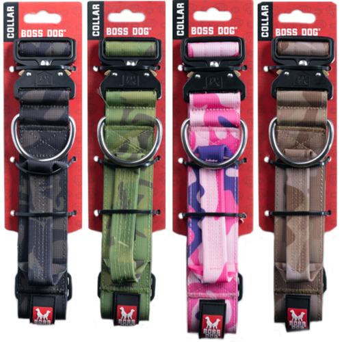 Collar táctico para perro boss dog