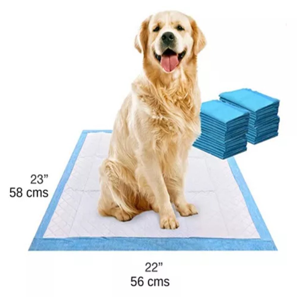 Tapete entrenador wee-wee pads 100 piezas