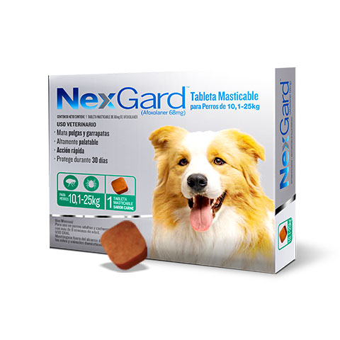 Nexgard 10.1 - 25 kg masticable x1