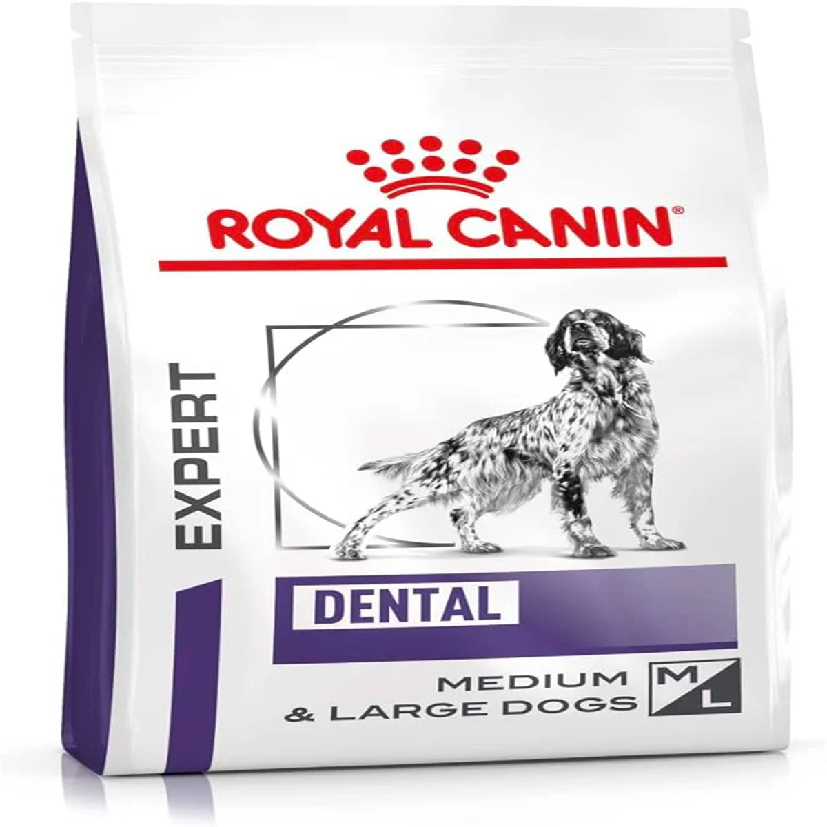 Dental dry dog