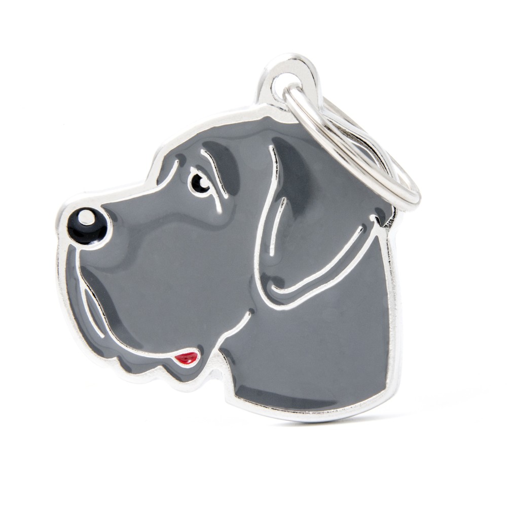 Plaquita friends gran danés leonado