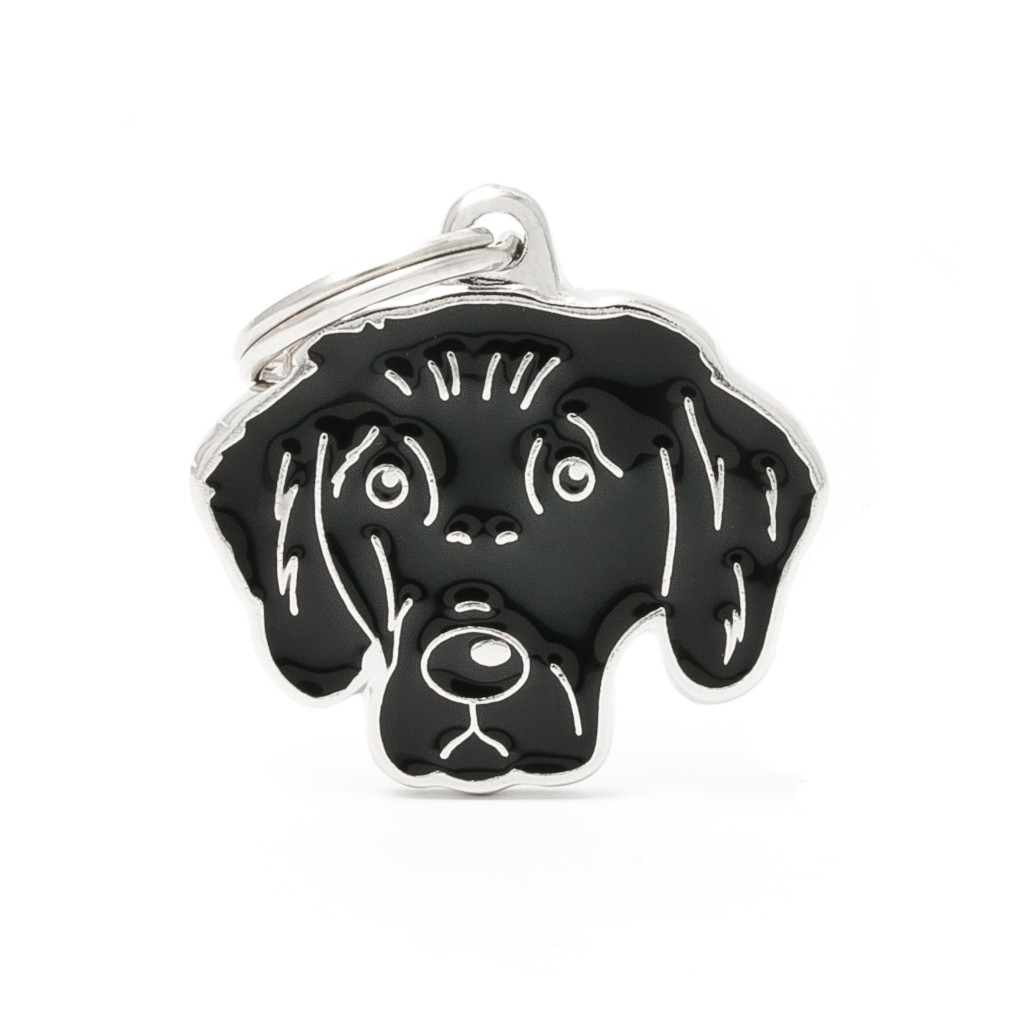 Plaquita friends flat coated retriever
