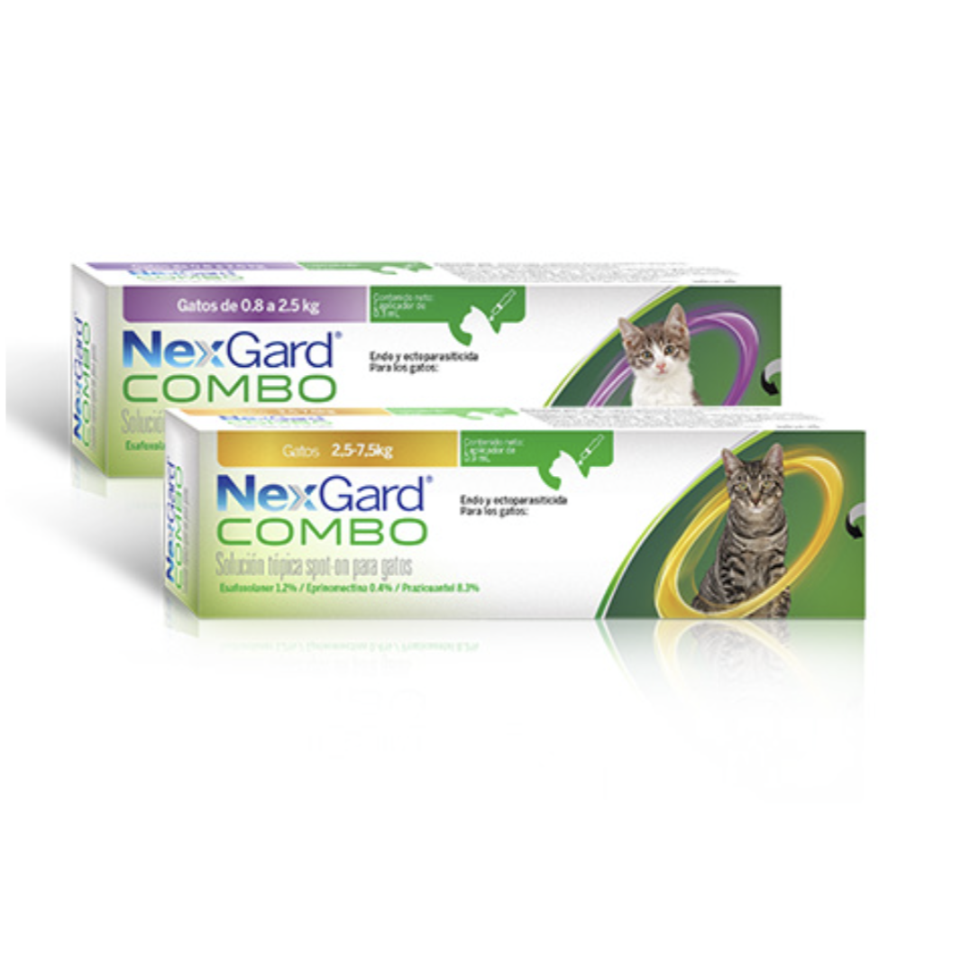 NexGard Combo Gato 