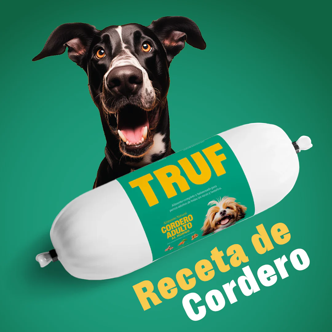 Dieta de Cordero para perro