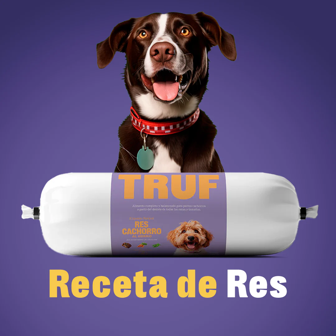 Dieta de Res  para perro Adulto 500grs Pza 