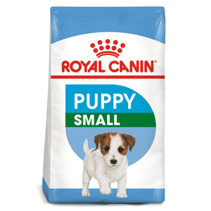 Small puppy