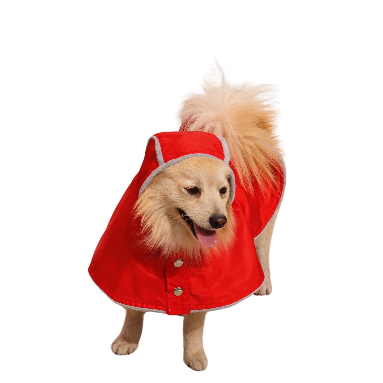 Chamarra impermeable  XS 