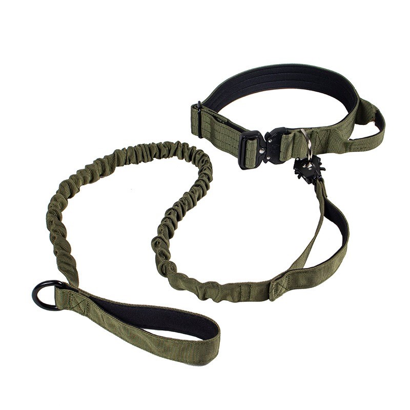 Collar y correa táctico L  Caqui 