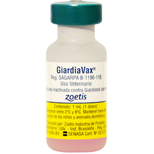 GiardiaVax® 1ML Pza