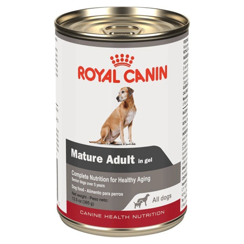 CHN mature all dogs in gel