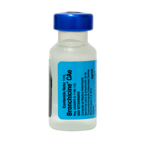 Bronchicine® CAE 1ml Pza