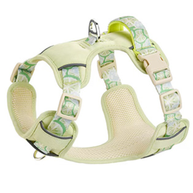 Pechera Pastel Verde S 