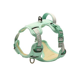 Pechera Pastel Verde pistache XXS