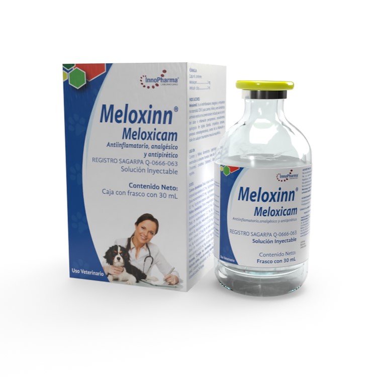 Meloxinn 30ml Pza