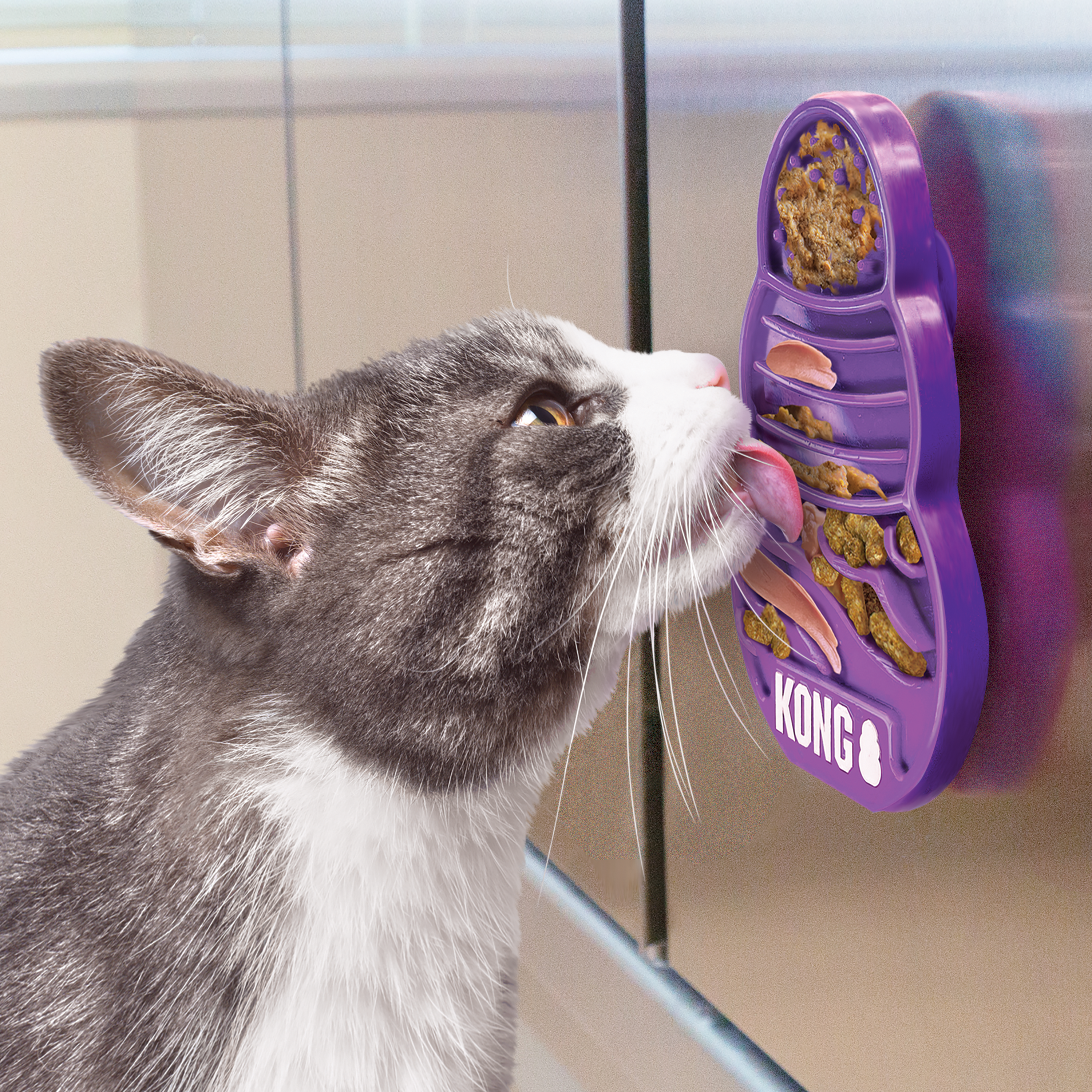 Plato interactivo para gatitos