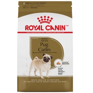 RCBHN pug 4.5 kg 