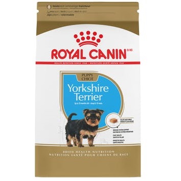 RCBHN yorkshire terrier puppy 1.13 kg 