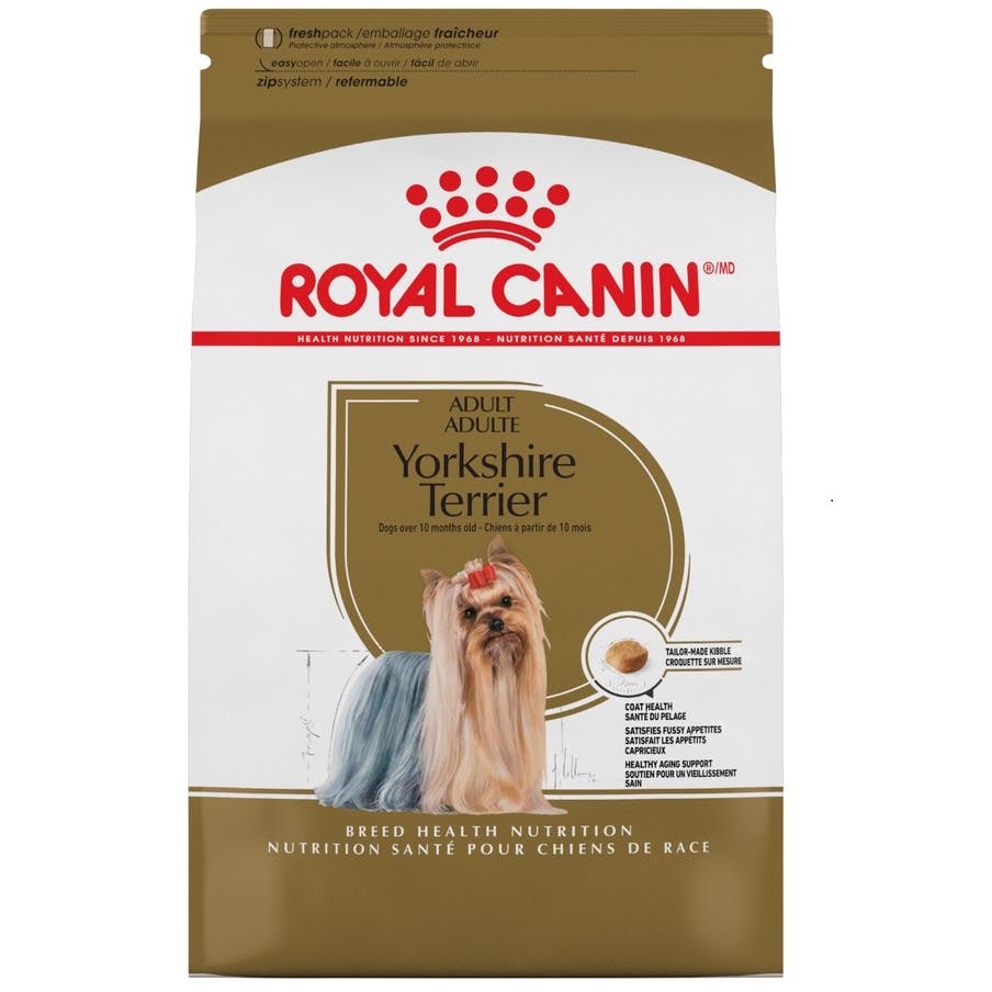 RCBHN yorkshire terrier 4.54 kg 