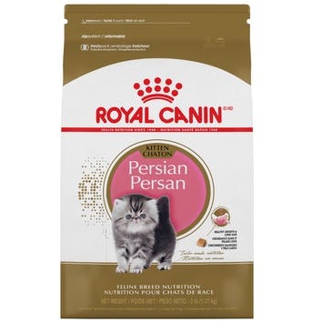 Persian kitten FBHN 1.3 kg 