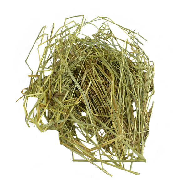 Heno de Avena para Herbivoros